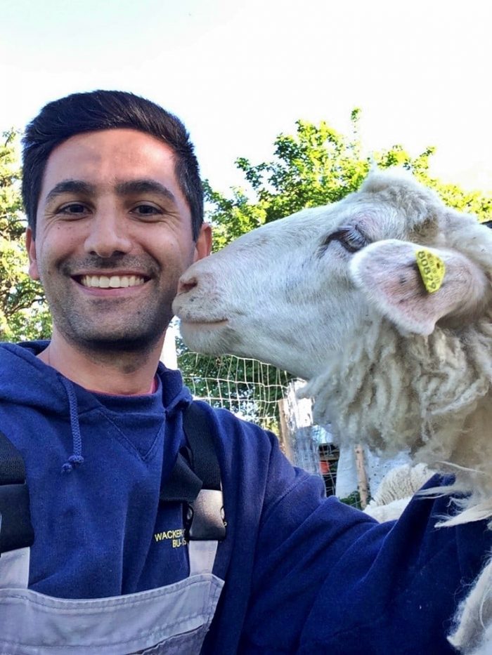 Almanya�da Workaway Deneyimi HAYAT ve SEYAHAT